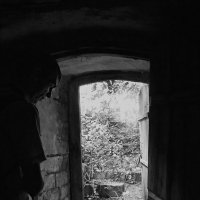 Выход из лаборатории Я.В.Брюса :: Наталья Rosenwasser