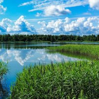 Смоленщина в конце июля. :: Милешкин Владимир Алексеевич 