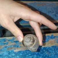 Улитка. Снимала  Саша :: Фотогруппа Весна