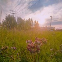 Летний вечер :: Сергей Кочнев