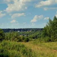 А лето цвета ивы, зеленое красивое! :: Татьяна Помогалова А лето цвета ивы, зеленое красивое! :: Татьяна Помогалова