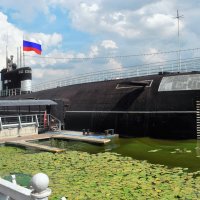 С Днём Военно-морского флота! :: Татьяна Помогалова