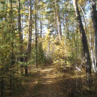 Осень :: Anna Ivanova