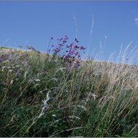 . :: Алексей Хвастунов