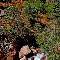 ВОДОПАДЫ. :: Виктор Осипчук