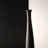 Чёрное и белое 4 :: Вениамин Скородумов