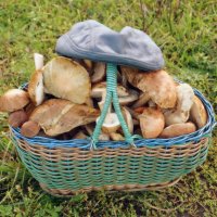 Грибной спас :: Сергей М 