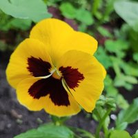 ,,, :: Сергей Тимоновский