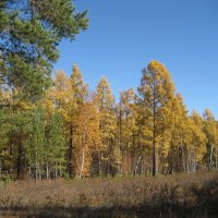 Осень :: Anna Ivanova