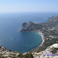 Природа Крыма :: Amazing Cosmea