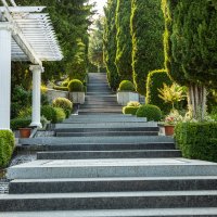 В парке «Айвазовское» :: валерий 