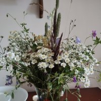 Лето, ах, лето, лето звонкое ярче пой :: На-та-ша 