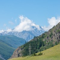 *** :: Николай Чекалин