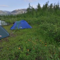 ** :: Александр Хаецкий