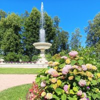 Фонтан :: Сапсан 