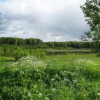 Село Рябово :: Лидия Бусурина