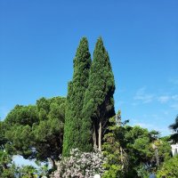 САНАТОРИЙ АВАНГАРД :: Tata Wolf