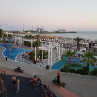 СОЧИ СЕГОДНЯ :: Tata Wolf