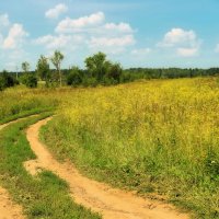 Идём, бредём по навигатору. :: Татьяна Помогалова Идём, бредём по навигатору. :: Татьяна Помогалова