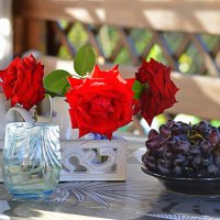 Дачное) :: Татьяна Лютаева