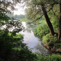 за городом :: Елена Шаламова