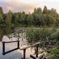 Вартемяжское озеро :: skijumper Иванов