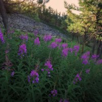 * :: Александр Иванов