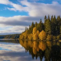 Швеция :: Aleksey Afonin