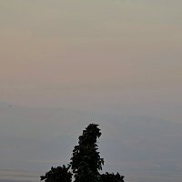 Рассветает :: Аркадий Басович