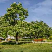 Актау :: Анатолий Чикчирный Актау :: Анатолий Чикчирный