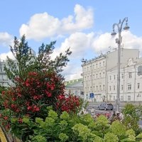 на улицах города :: Галина R... на улицах города :: Галина R...