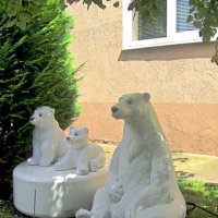 Белые мишки :: Сергей Карачин Белые мишки :: Сергей Карачин