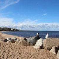 Ладожское Озеро :: Наталья Герасимова Ладожское Озеро :: Наталья Герасимова