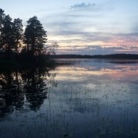 проводы белых ночей :: zavitok *