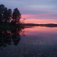 "...долго будет Карелия сниться..." :: zavitok * "...долго будет Карелия сниться..." :: zavitok *