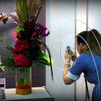 букет :: Олег Лукьянов букет :: Олег Лукьянов