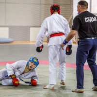 Рукопашный бой :: SanSan 