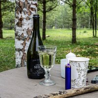 Случайный :: Валерий Пославский