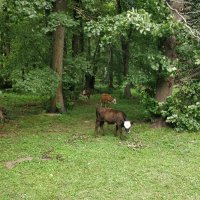 Мирный день :: Андрей Хлопонин Мирный день :: Андрей Хлопонин