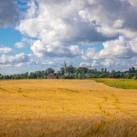 **** :: Елизавета .