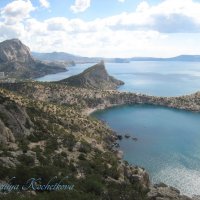 Природа Крыма :: Amazing Cosmea