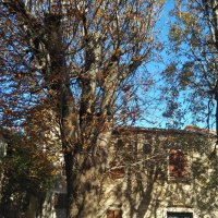 Как это по осеннему красиво :: Натали 