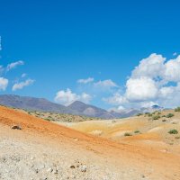 *** :: Николай Чекалин