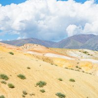 *** :: Николай Чекалин *** :: Николай Чекалин