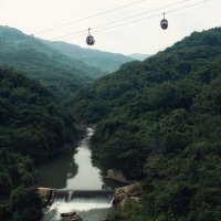 Тропический лес :: Лилия .