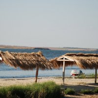 Среда ☀️✌️ :: Анна Камс Среда ☀️✌️ :: Анна Камс