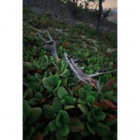 * :: Александр Иванов