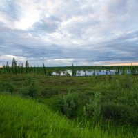 Лето :: Виктория 