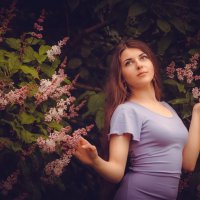 Сирень :: Лейла Башилова