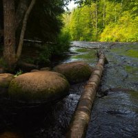 Линдуловская роща :: Магомед .